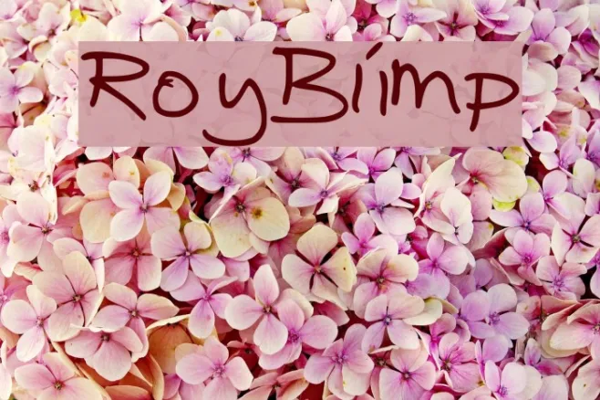 RoyBlimp Example 3