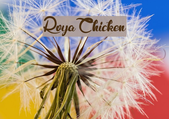 RoyaChicken Font examples