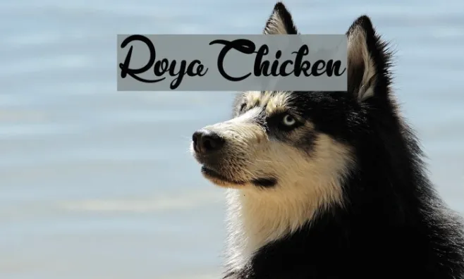 RoyaChicken Example 3