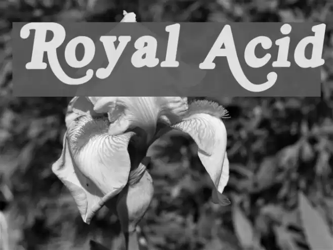 Royal Acid Font examples