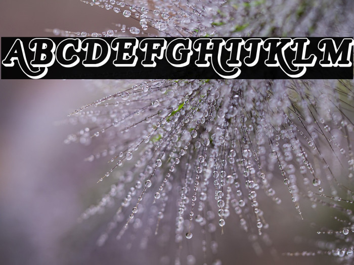 Royal Acidbath Outline Example 2