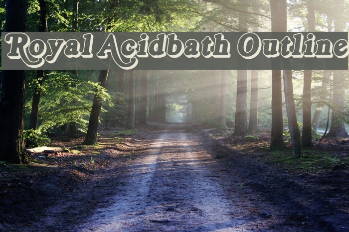 Royal Acidbath Outline Font examples