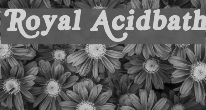 Royal Acidbath Font examples