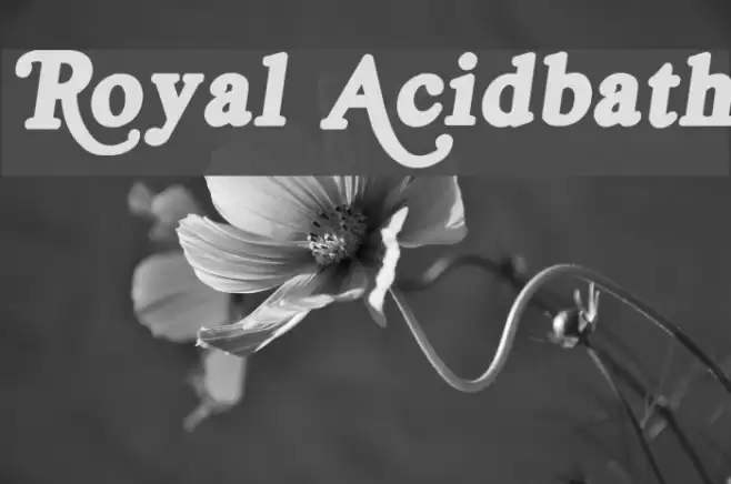 Royal Acidbath Font examples