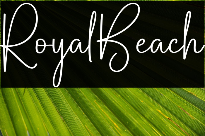 Royal Beach Example 1