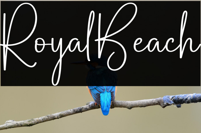 Royal Beach Example 2