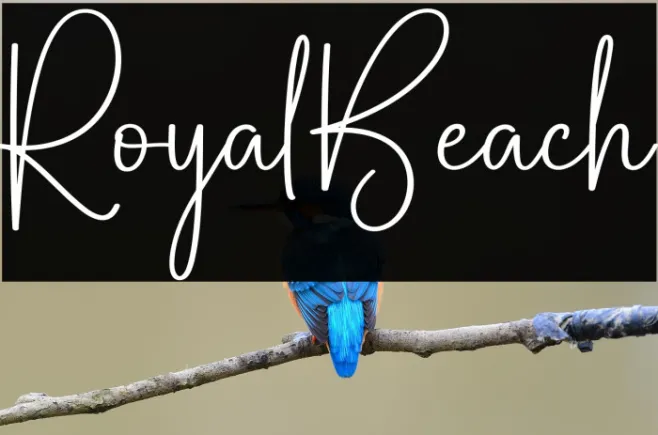 Royal Beach Example 2