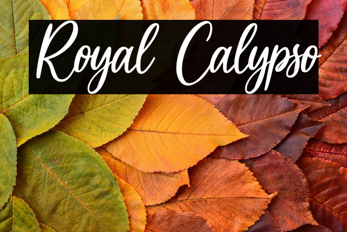 Royal Calypso Example 2