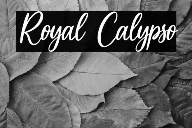 Royal Calypso خط examples
