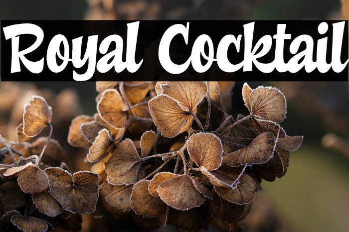 Royal Cocktail Example 1