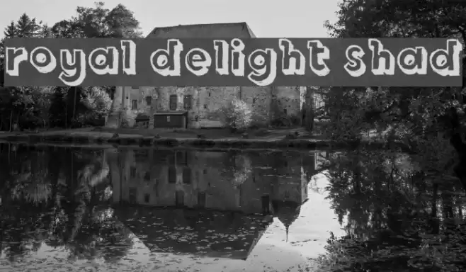 Royal Delight Shad Font examples