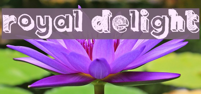 Royal Delight Example 3