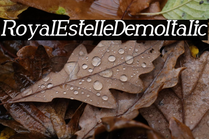 Royal Estelle Demo Italic Example 1