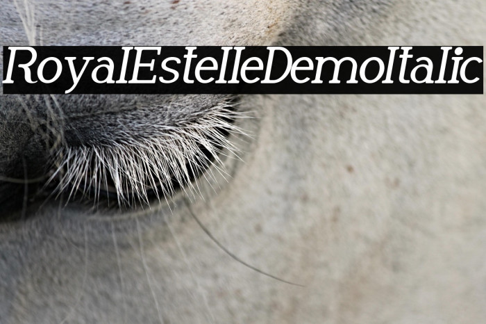 Royal Estelle Demo Italic Example 2