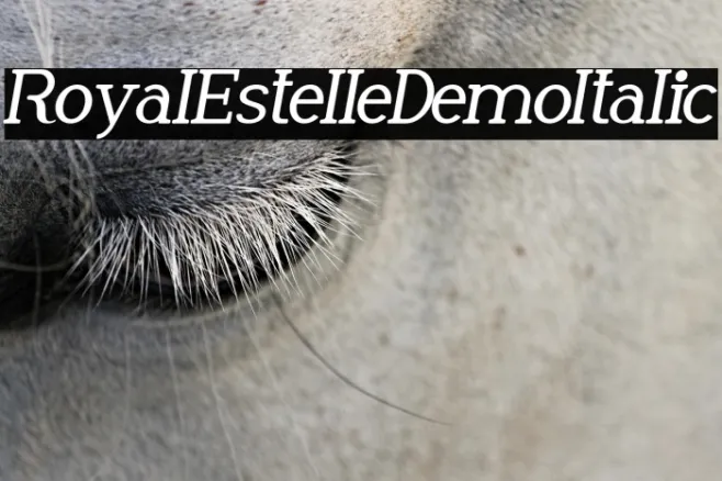 Royal Estelle Demo Italic Example 2