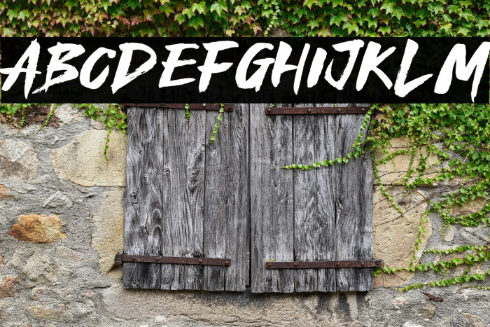 Royal Fighter Example 1