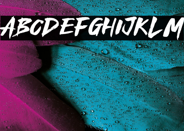 Royal Fighter Example 2