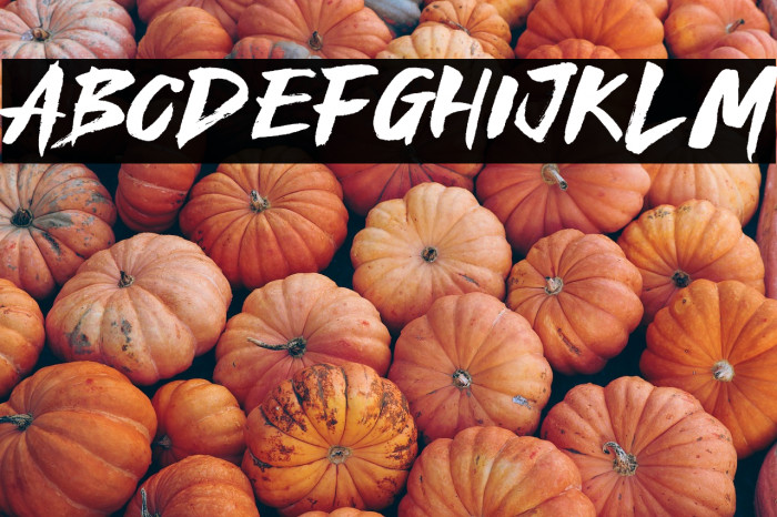 Royal Fighter Example 3