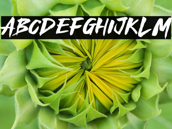 Royal Fighter Example 1