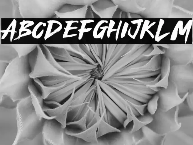 Royal Fighter Font examples