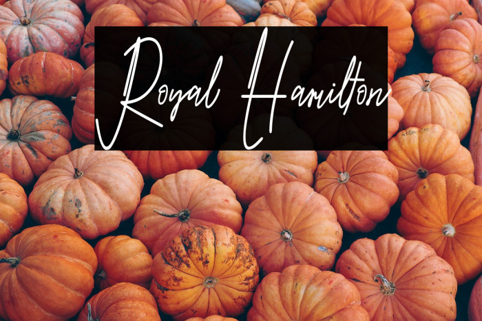 Royal Hamilton Example 2