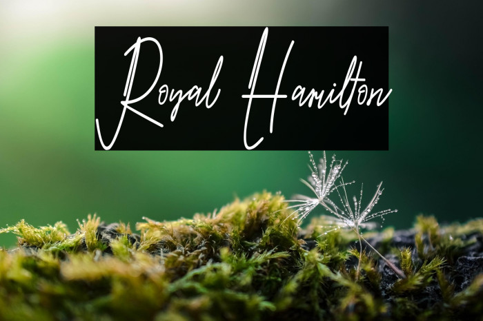 Royal Hamilton Example 3