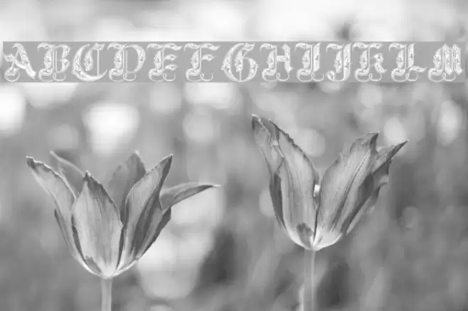 Royal Initialen Font examples