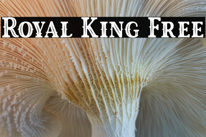 Royal King Free Example 3