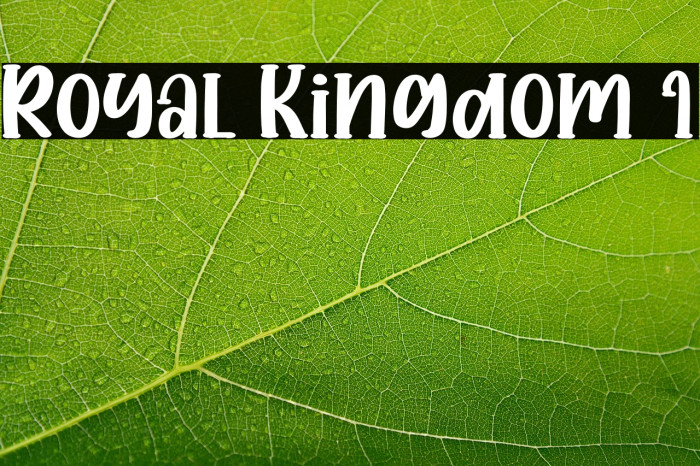 Royal Kingdom 1 Example 3