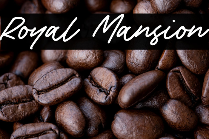 Royal Mansion Example 1