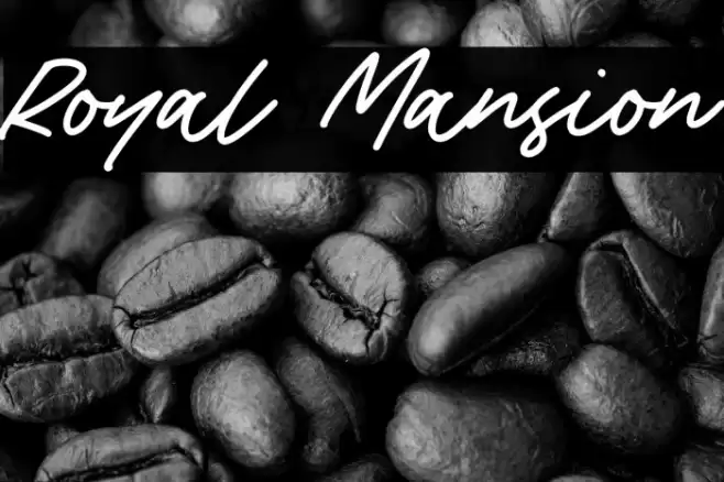 Royal Mansion Font examples