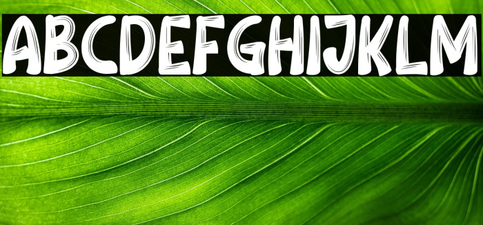 Royal Mision Example 3