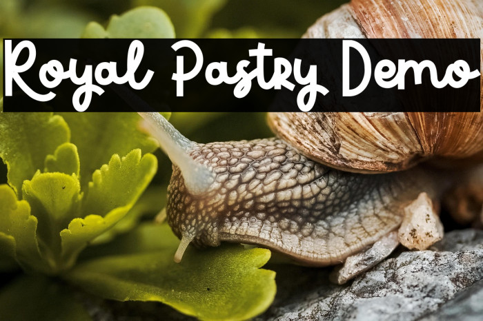 Royal Pastry Demo Example 2