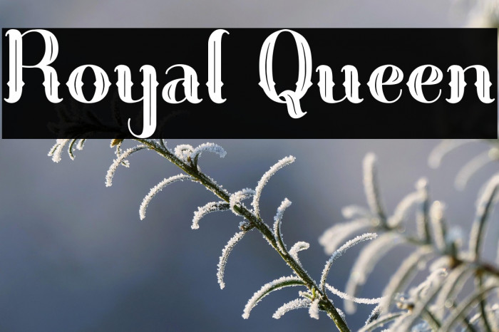Royal Queen Example 3