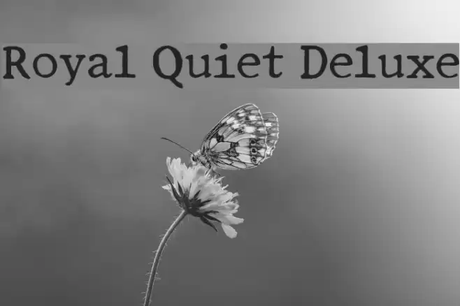 Royal Quiet Deluxe Font examples