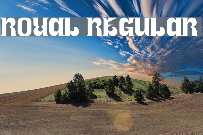 Royal Regular Example 3