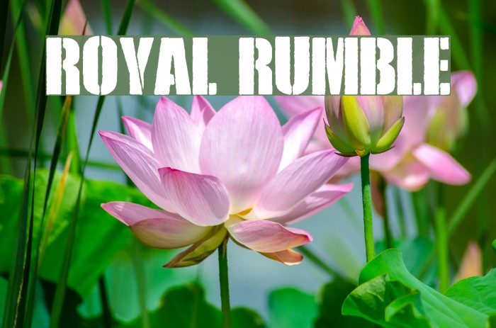 Royal Rumble Font examples