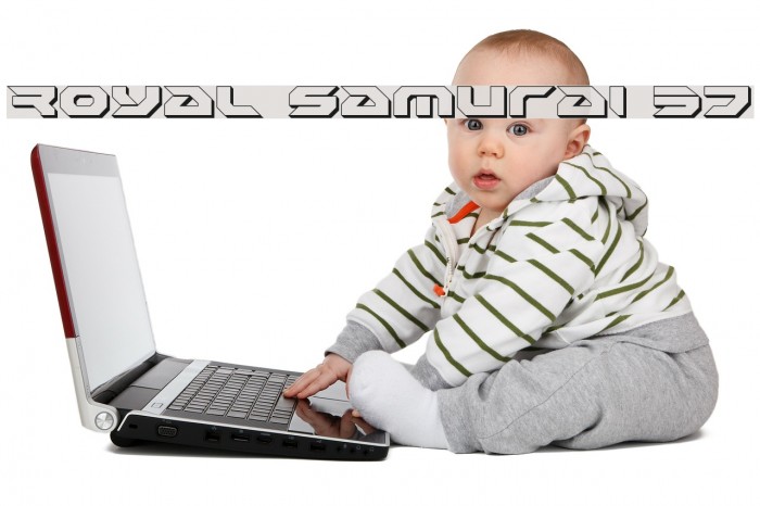 Royal Samurai 3D Example 1