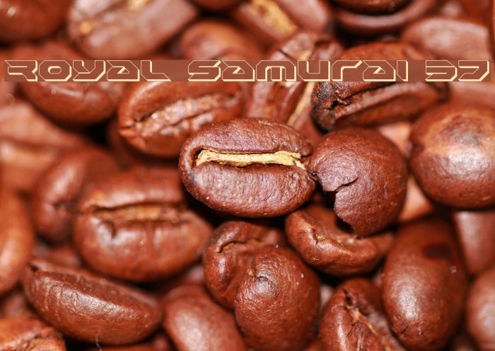 Royal Samurai 3D Example 3