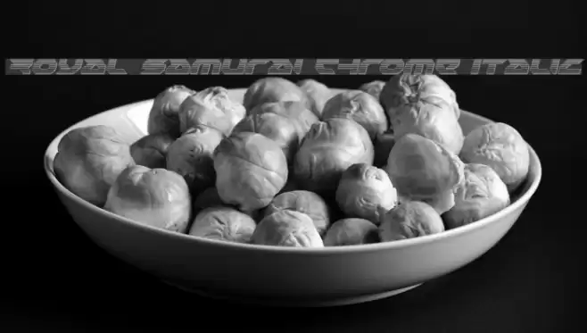 Royal Samurai Chrome Italic Font examples