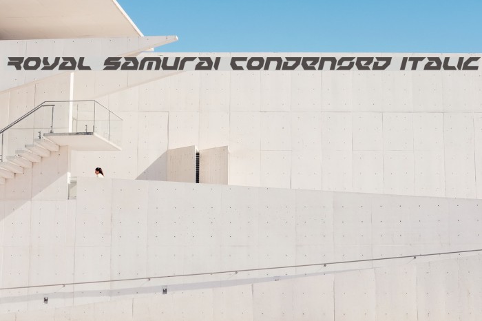 Royal Samurai Condensed Italic Font examples