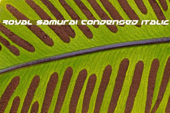 Royal Samurai Condensed Italic Font examples