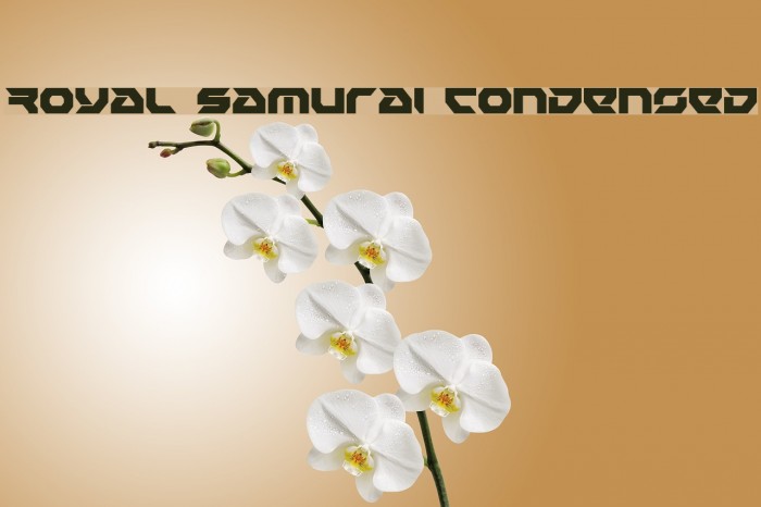 Royal Samurai Condensed Font examples