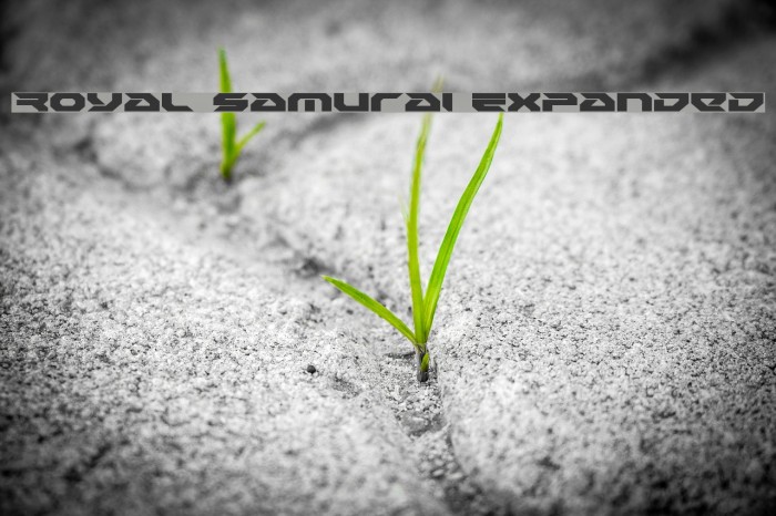 Royal Samurai Expanded Example 2