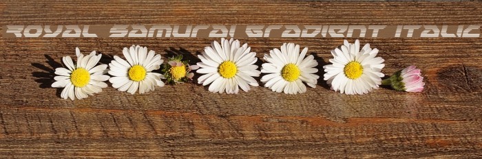 Royal Samurai Gradient Italic Example 3