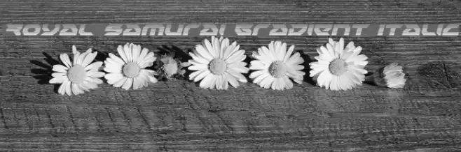 Royal Samurai Gradient Italic Font examples