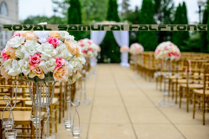 Royal Samurai Halftone Example 1