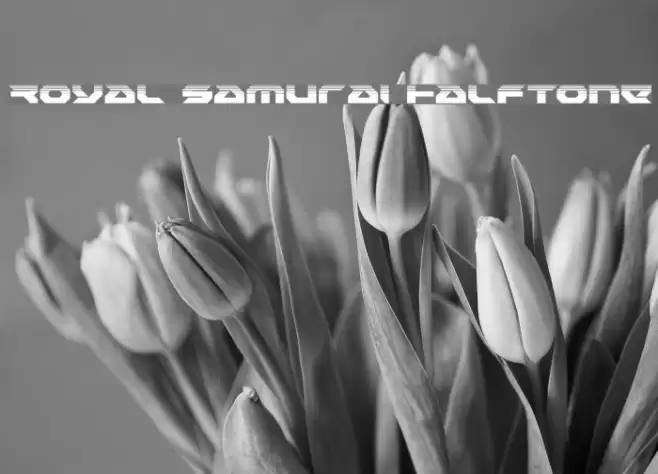 Royal Samurai Halftone Font examples
