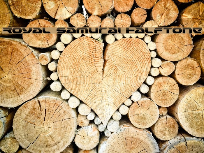 Royal Samurai Halftone Example 3