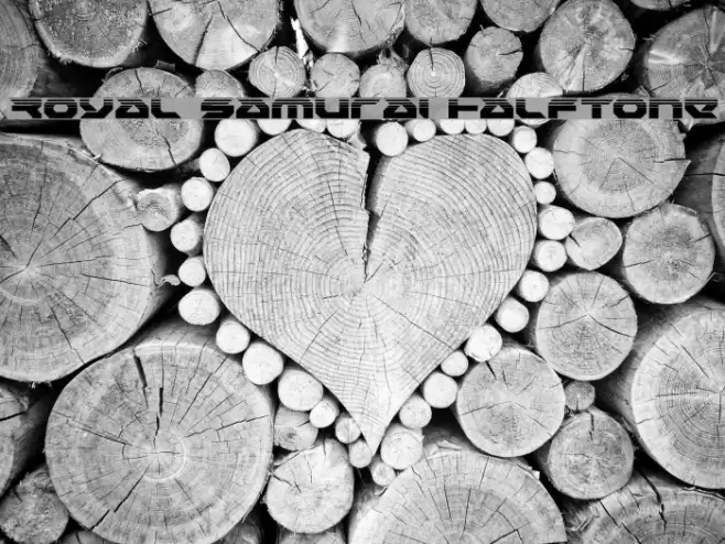 Royal Samurai Halftone Font examples